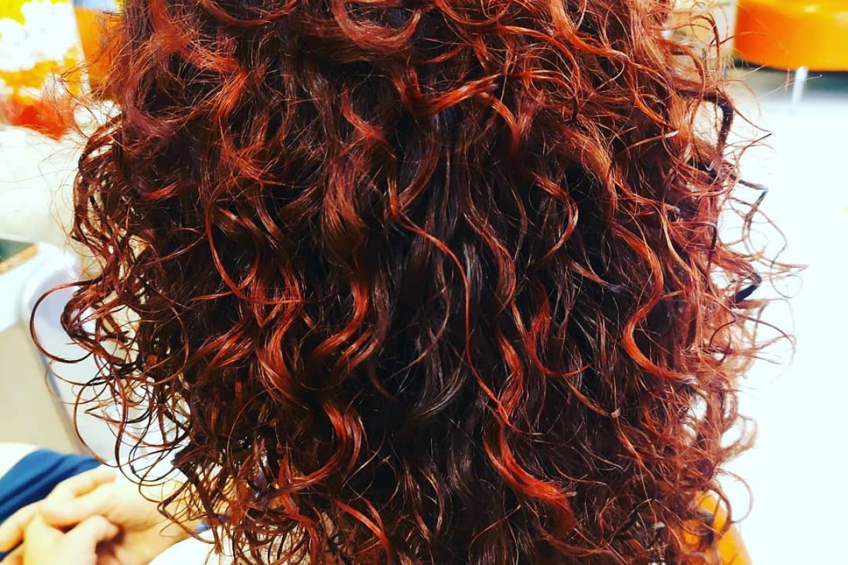 204546833_3709627022475888_2536327336653931958_n